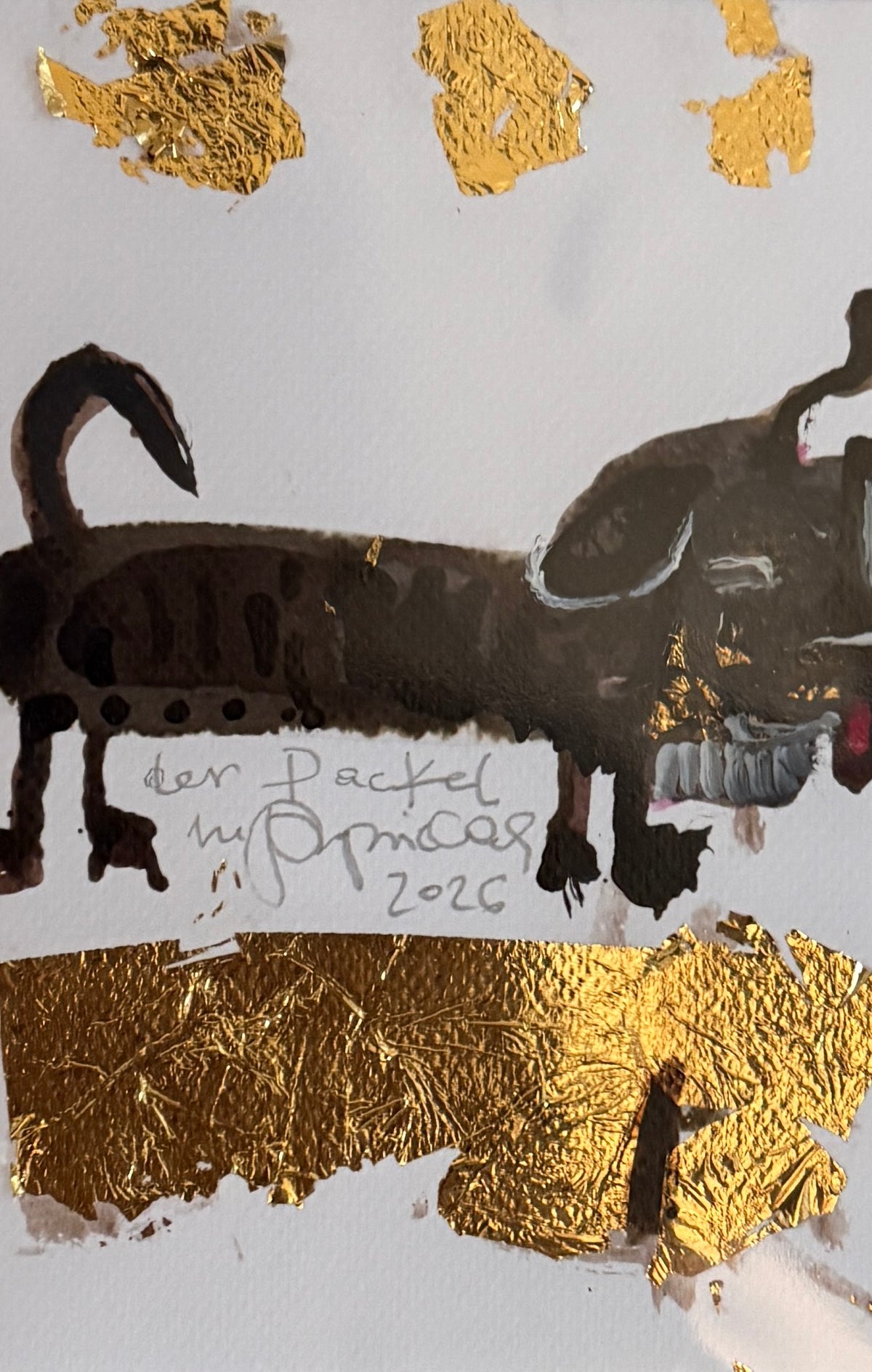 Dog
