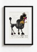 Dog - The Poodle